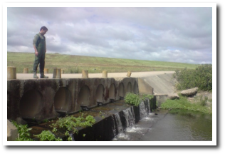 Barrera por salto