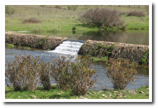 Barrera por salto
