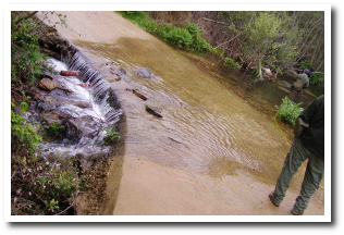Barrera por salto